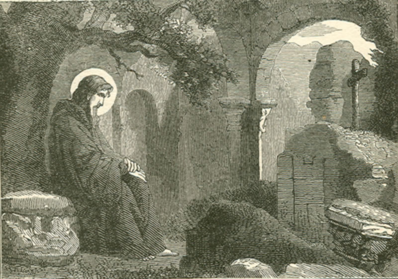 Die 45 Besten Bilder Zu Osnabruc K Osnabruck Osnabruck Germany