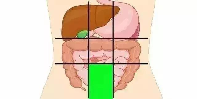 一張腹部地圖，讓你終身受益！(胃炎、脂肪肝、結腸息肉)