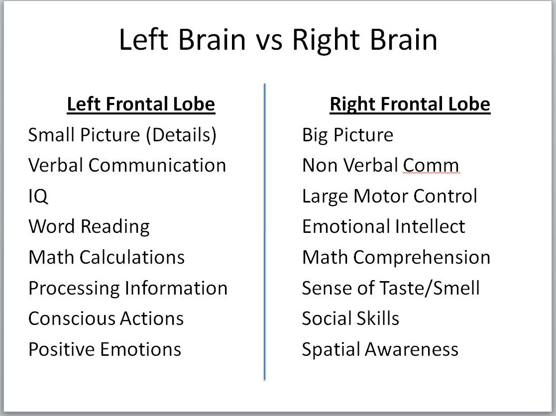 Anatomy of Human Brain