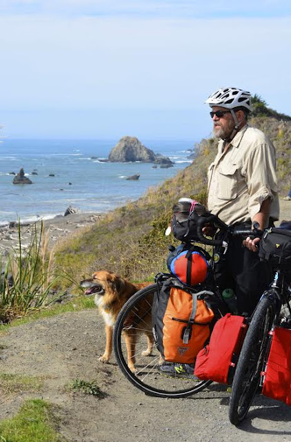 dog trailer for bike