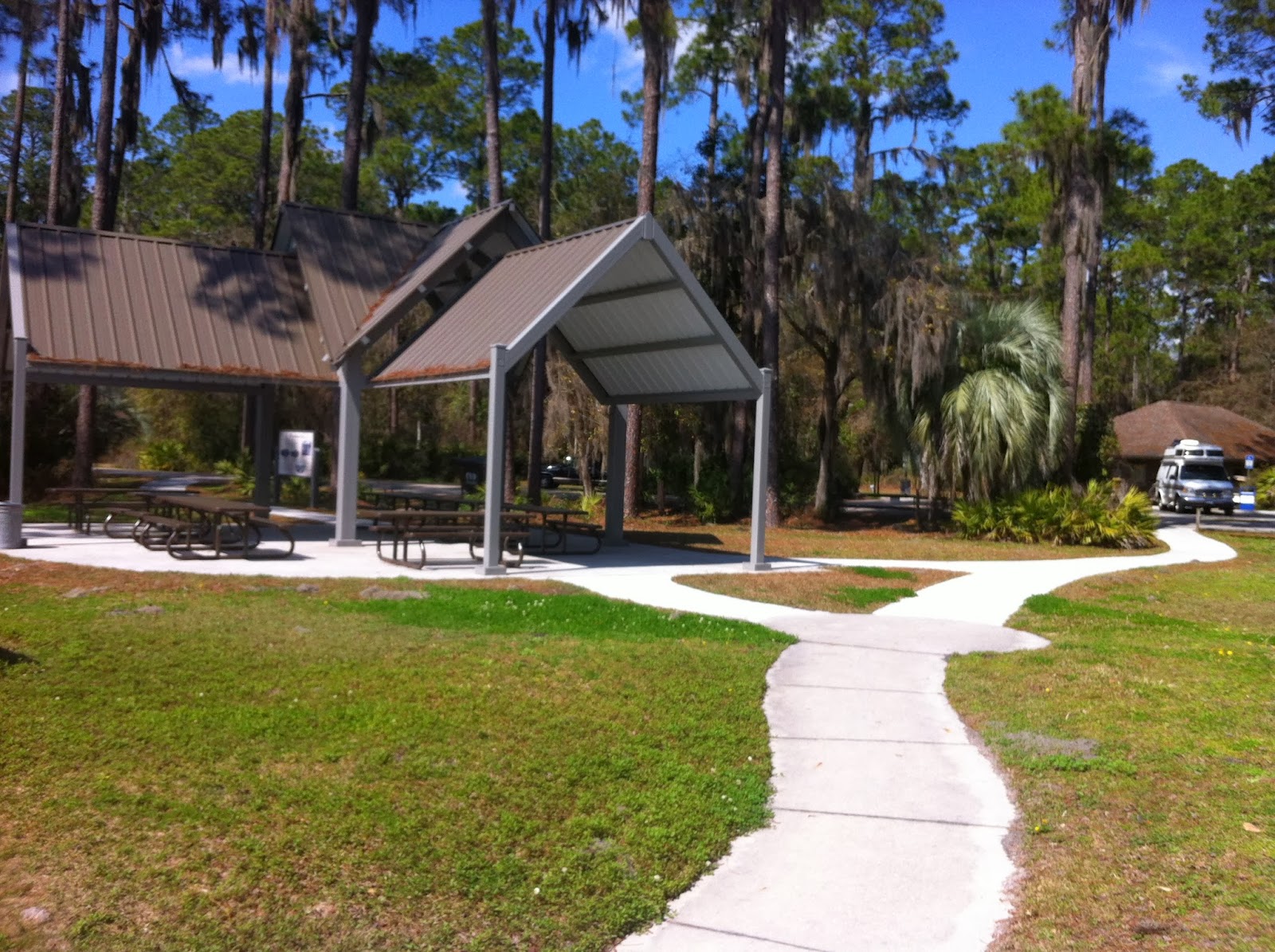 Our Fantastic Falcon Voyage Ocean Pond Campground, Osceola National