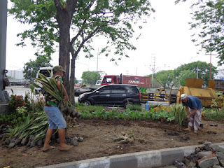 TUKANG TAMAN SURABAYA-JASATAMAN