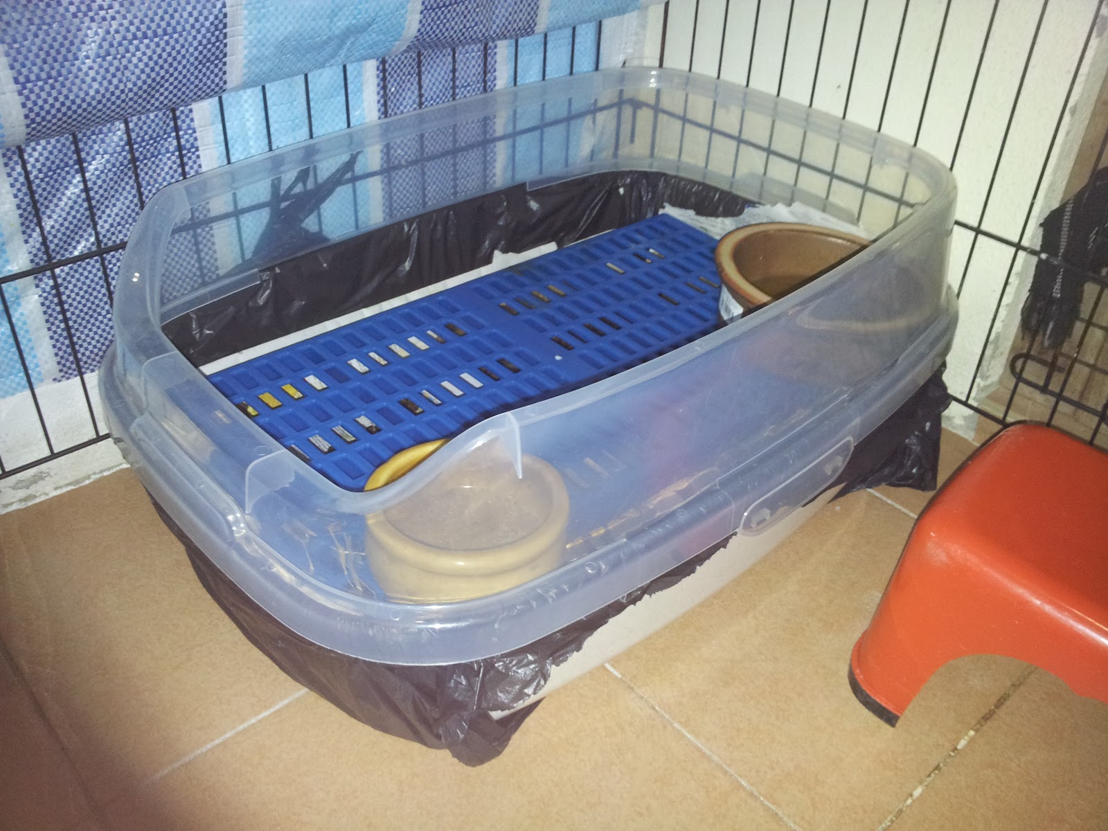 My Bunnies and I New Litter Box