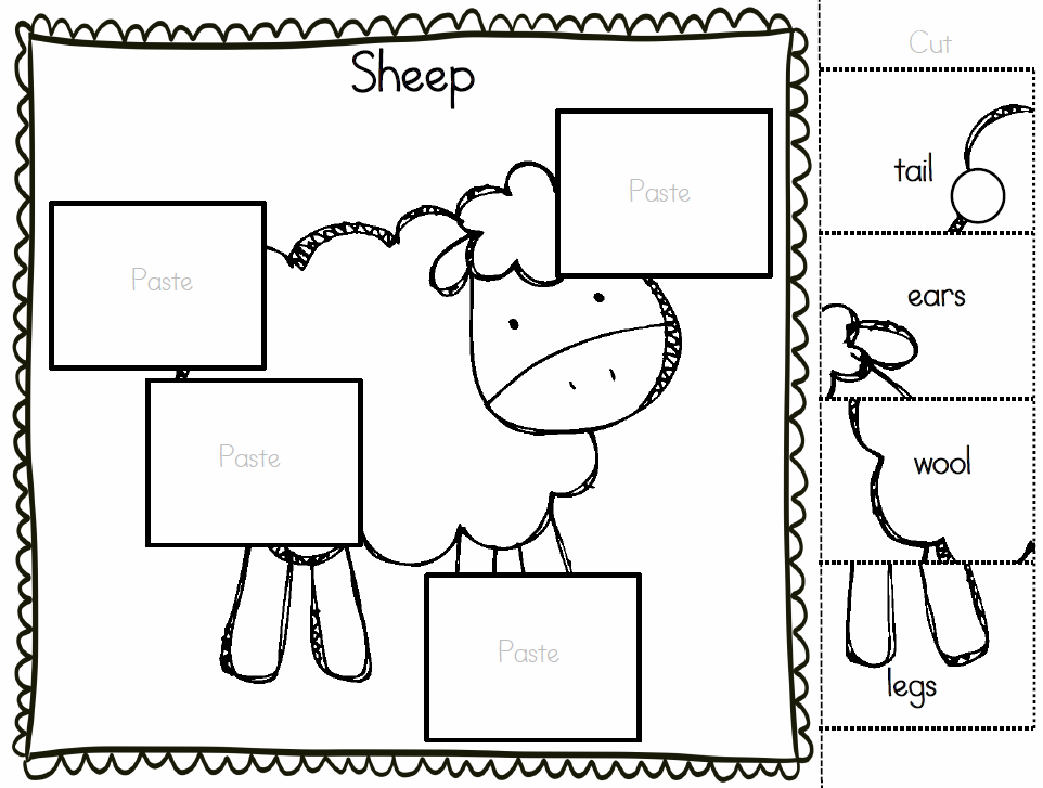 Teach Me Visually Parts of a Sheep (FREEBIE)