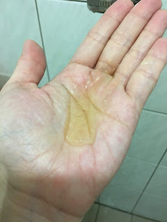 試用