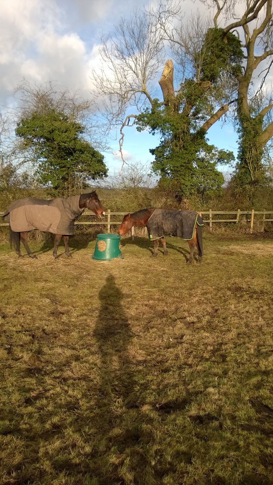 Horse Life and Love Hay Hutch Review