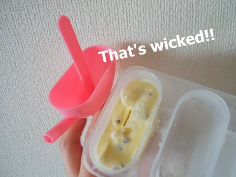 That S Wicked アイスクリームメーカーで手作りチョコミントアイス その2