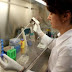 Cientistas propõem uma revolução na fertilização in vitro