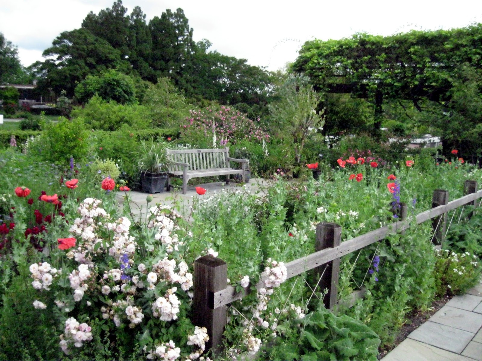 1003 Gardens The Rose Garden, in the Herb Garden, smells great