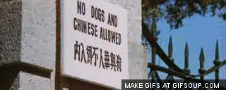 no-dogs-or-chinese-allowed%2Bgif-702955.gif