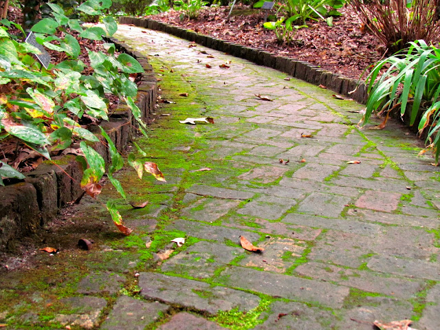 bwisegardening: Around The Garden World - Day 32 (Birmingham, Alabama)