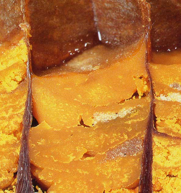 Corona Apicultores EL PAN DE ABEJA Corona Apicultores EL PAN DE ABEJA