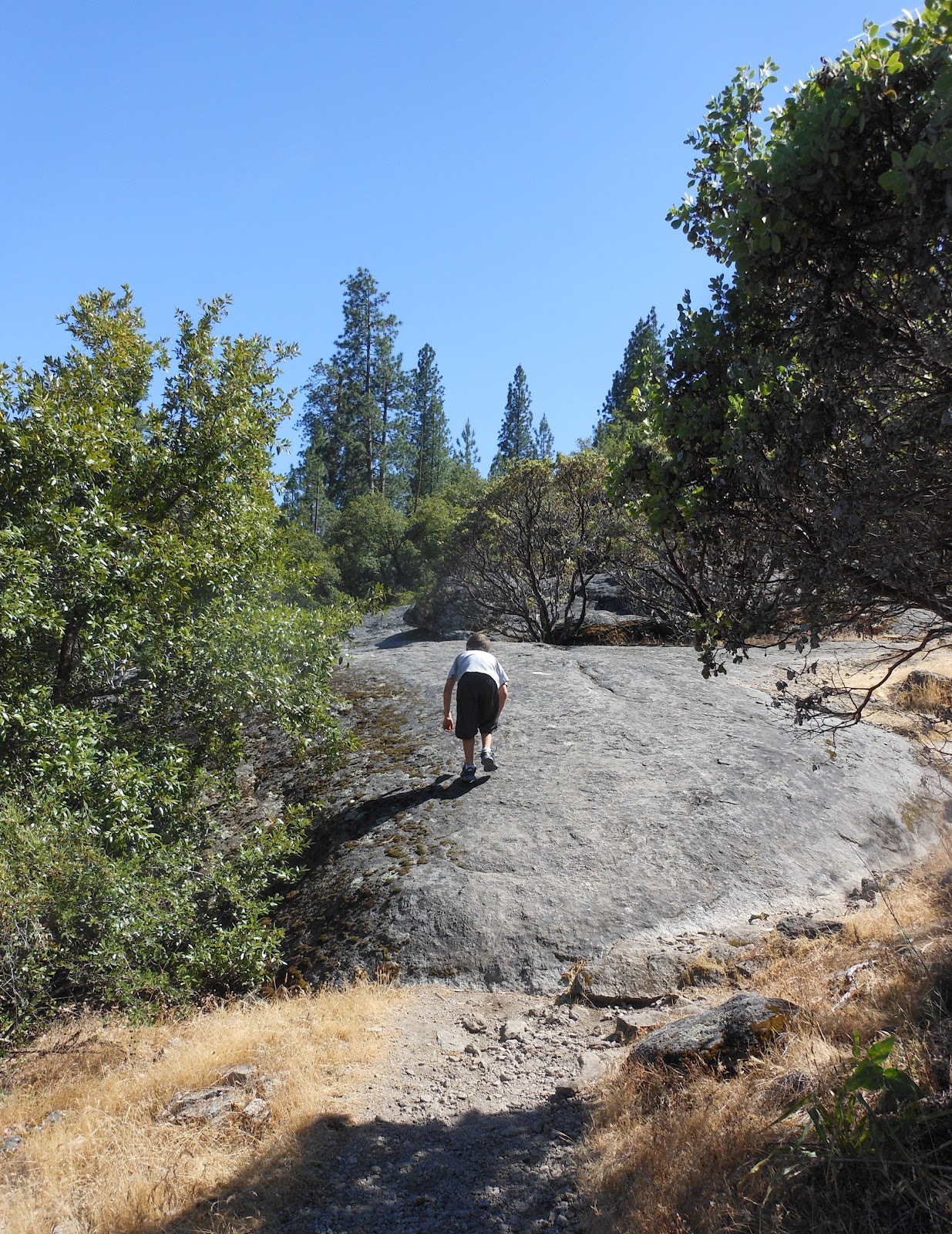 1000 Hikes in 1000 Days Day 575 Forks Campground Sierra National