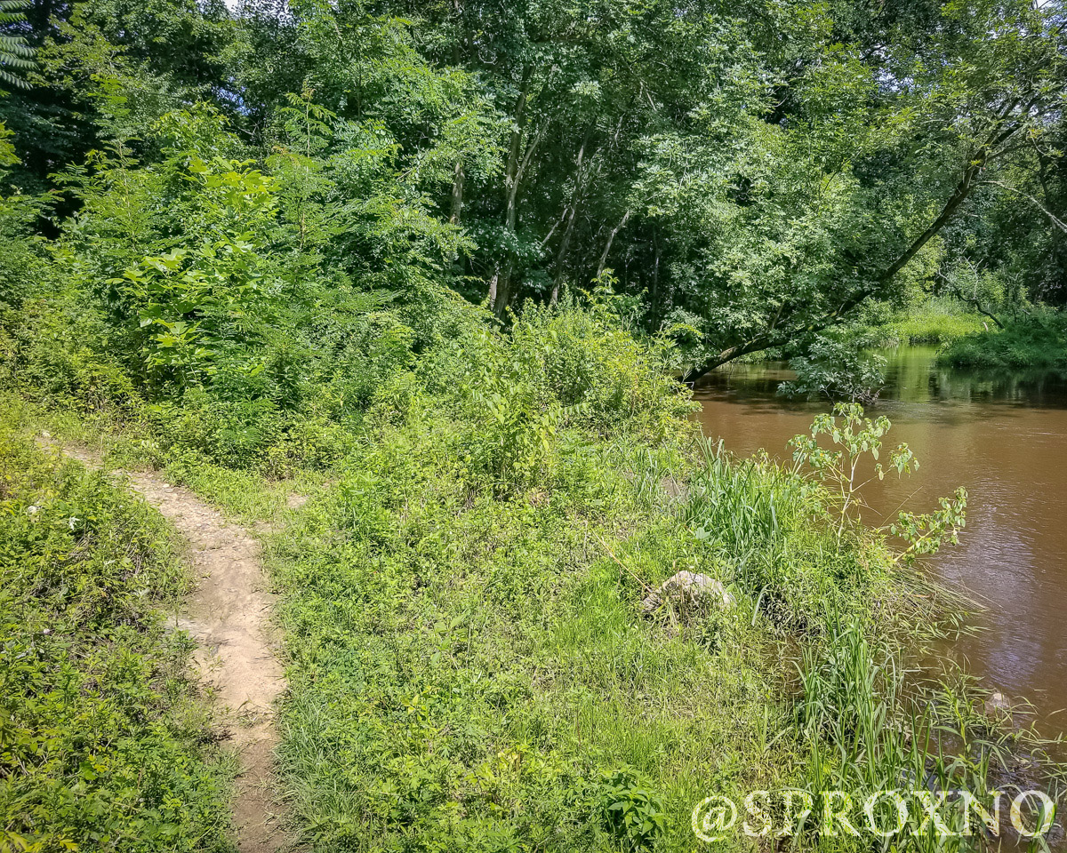 Woods of Wenonah Trail Pushing Myself