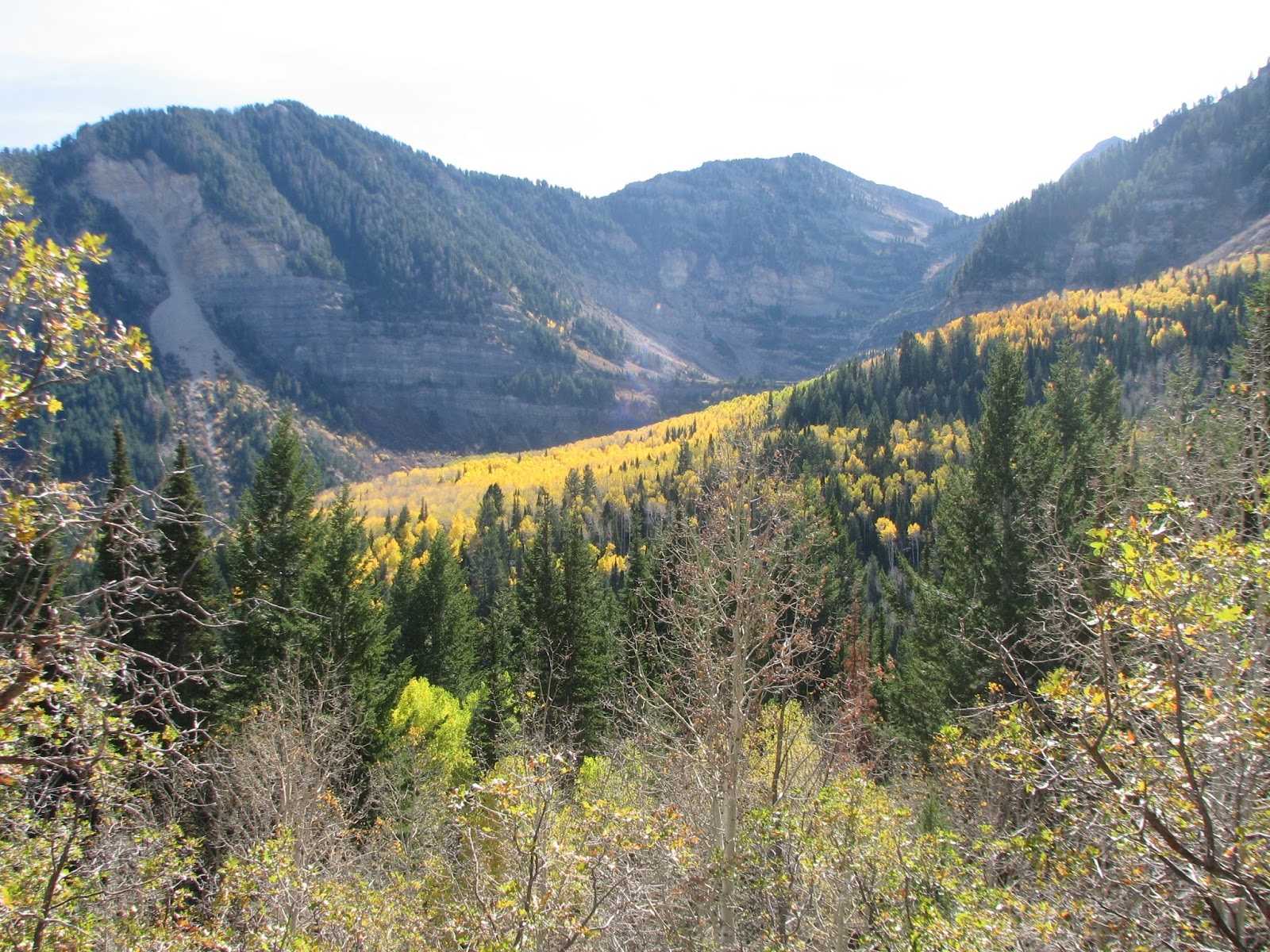 Travel the Path Less Trodden Spotlight Utah County Alpine Loop