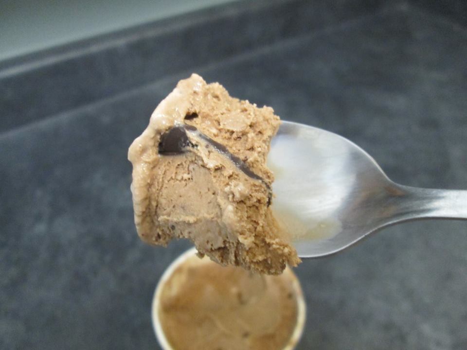 David's Ice Cream Reviews Graeter's Double Chocolate Chip