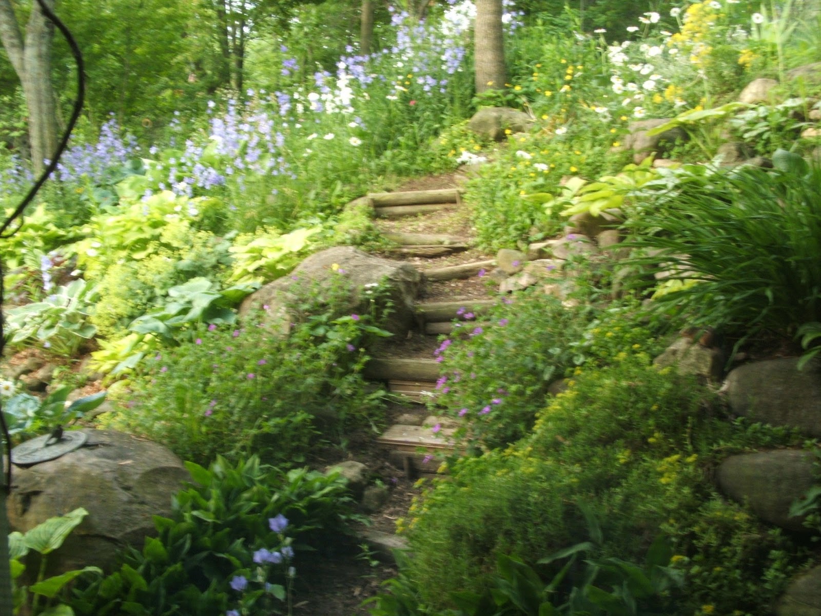 Nature Within - Cherish The Moment: Nature Paths - Life's Paths Show Us