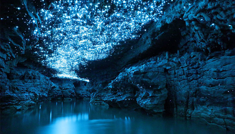 canon eos official sample image