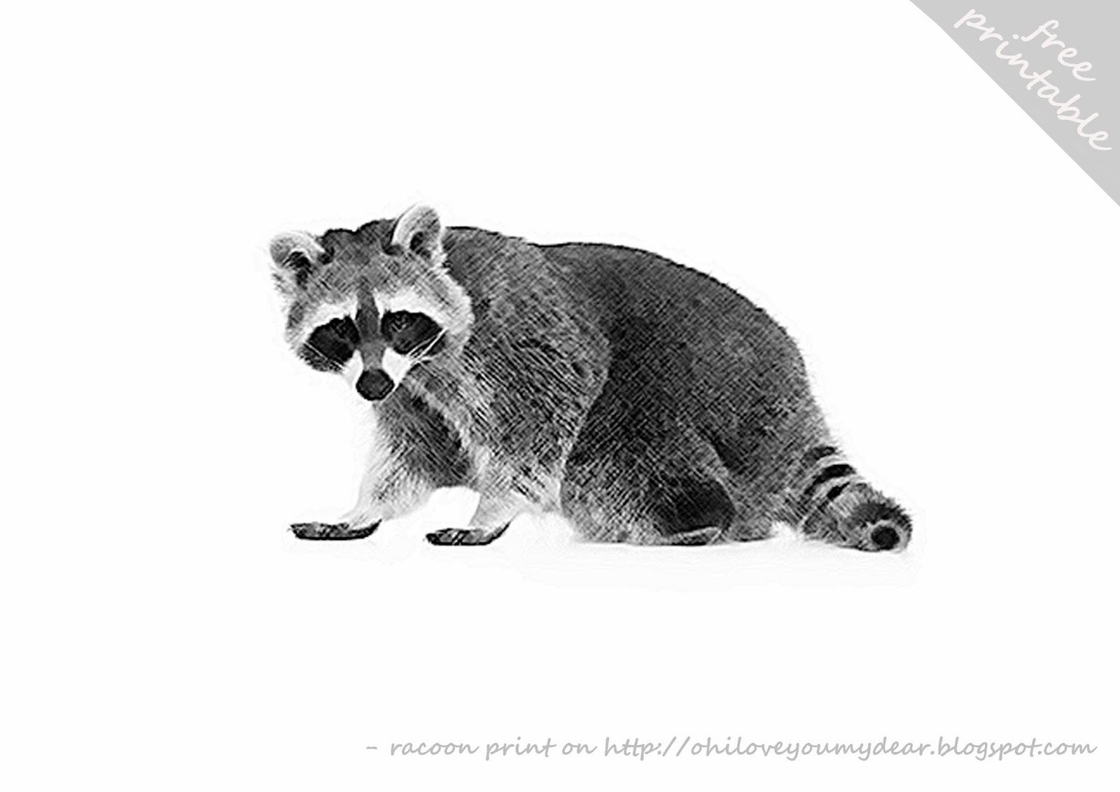 racoon print DIY ( free printable) | iloveyoumydear