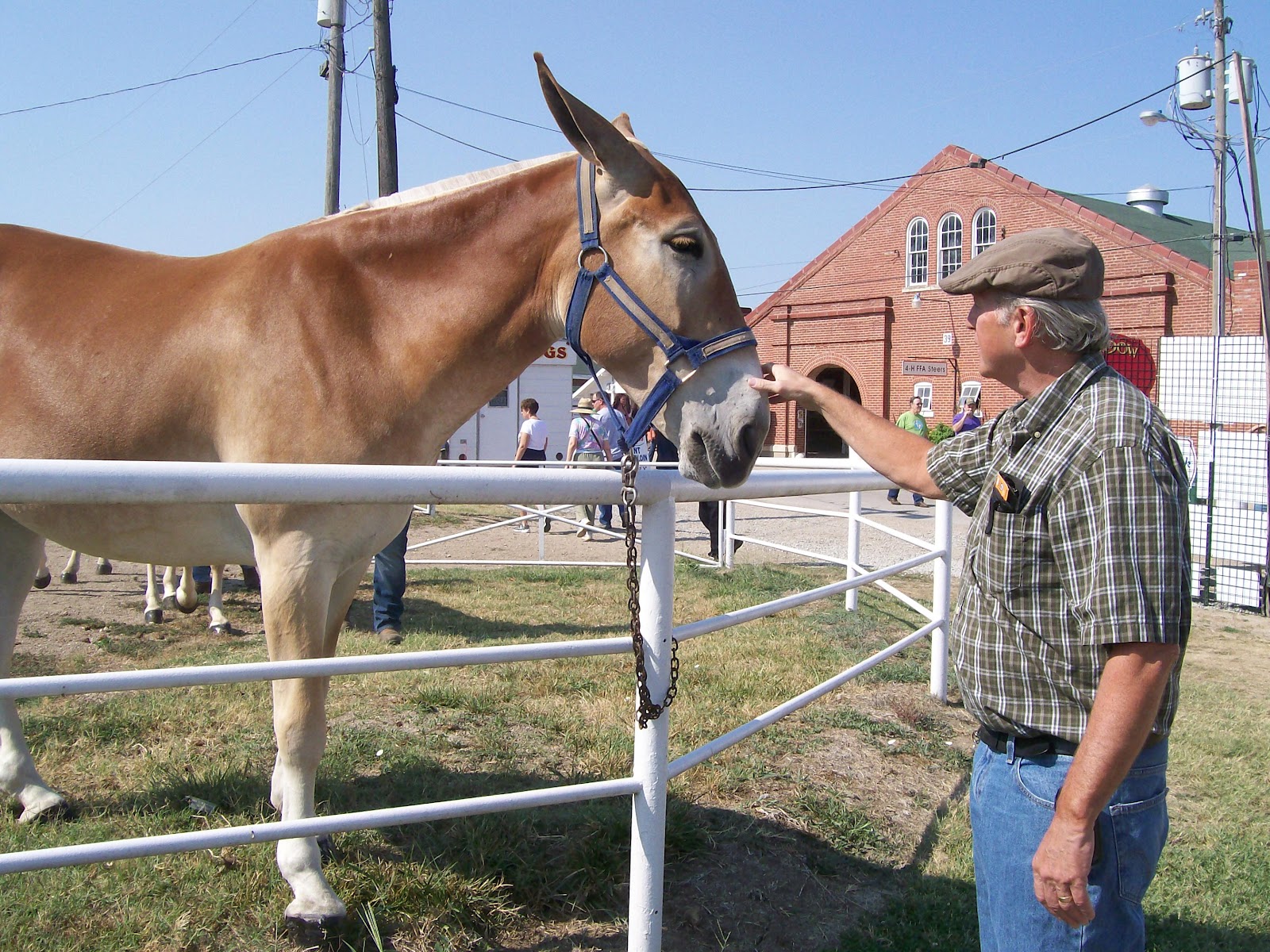 Intuitive Value Sedalia, Missouri