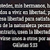 Gálatas 5:13 - Comparte la Biblia