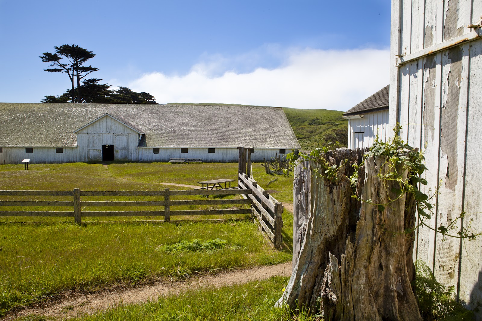 Spare Parts and Pics McClure's Beach, Point Reyes