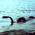 Makhluk Misterius Dipercaya Menghuni Sungai dan Danau Amerika Selatan Makhluk Misterius Dipercaya Menghuni Sungai dan Danau Amerika Selatan