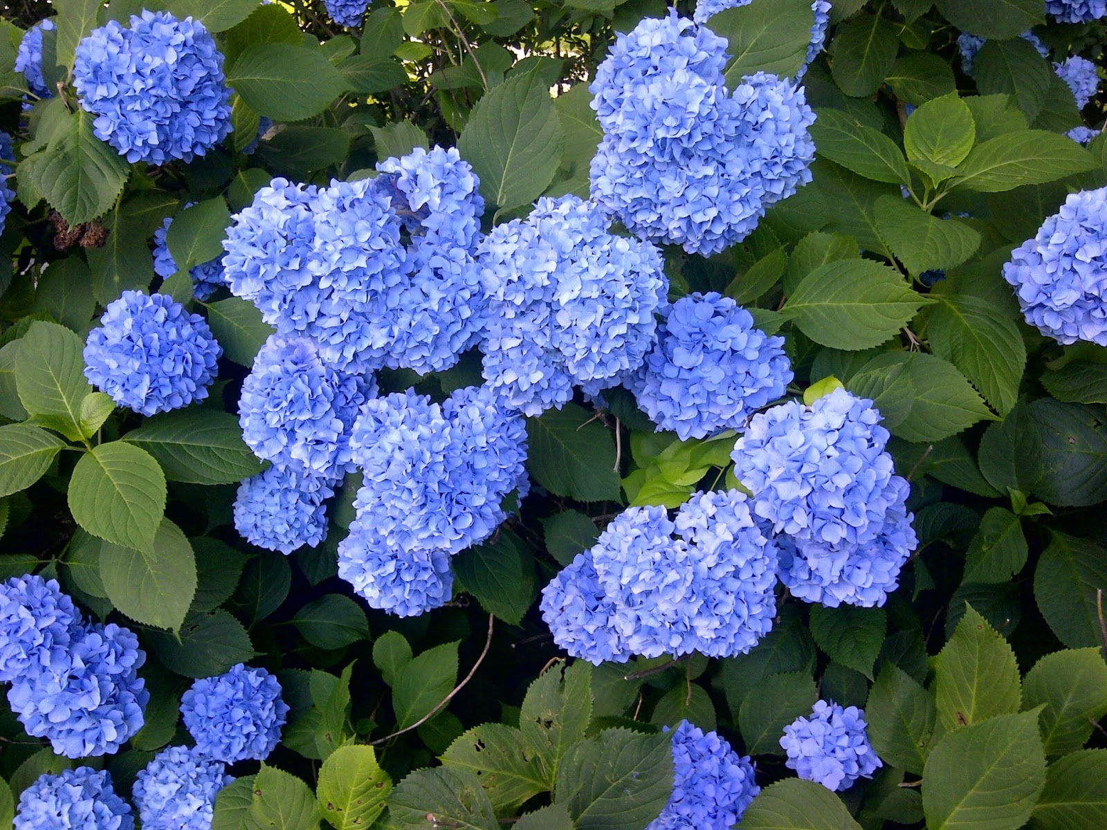 2 or 3 lines (and so much more): Stereopony -- "Namida no Mukō" (2009)