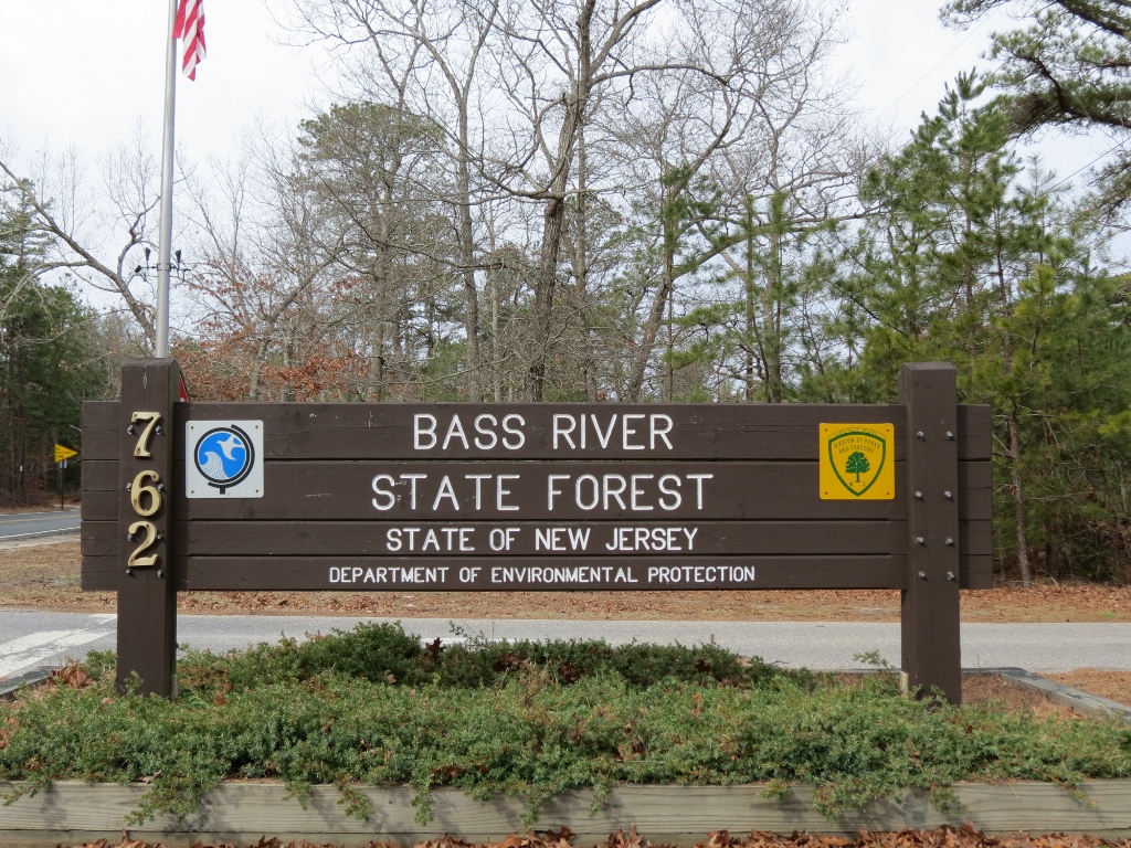 Gone Hikin' Bass River State Forest, NJ Plum and Yellow Trails