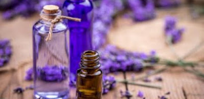 Beberapa Tips Memakai Minyak Lavender Untuk Kesehatan Dan Kecantikan