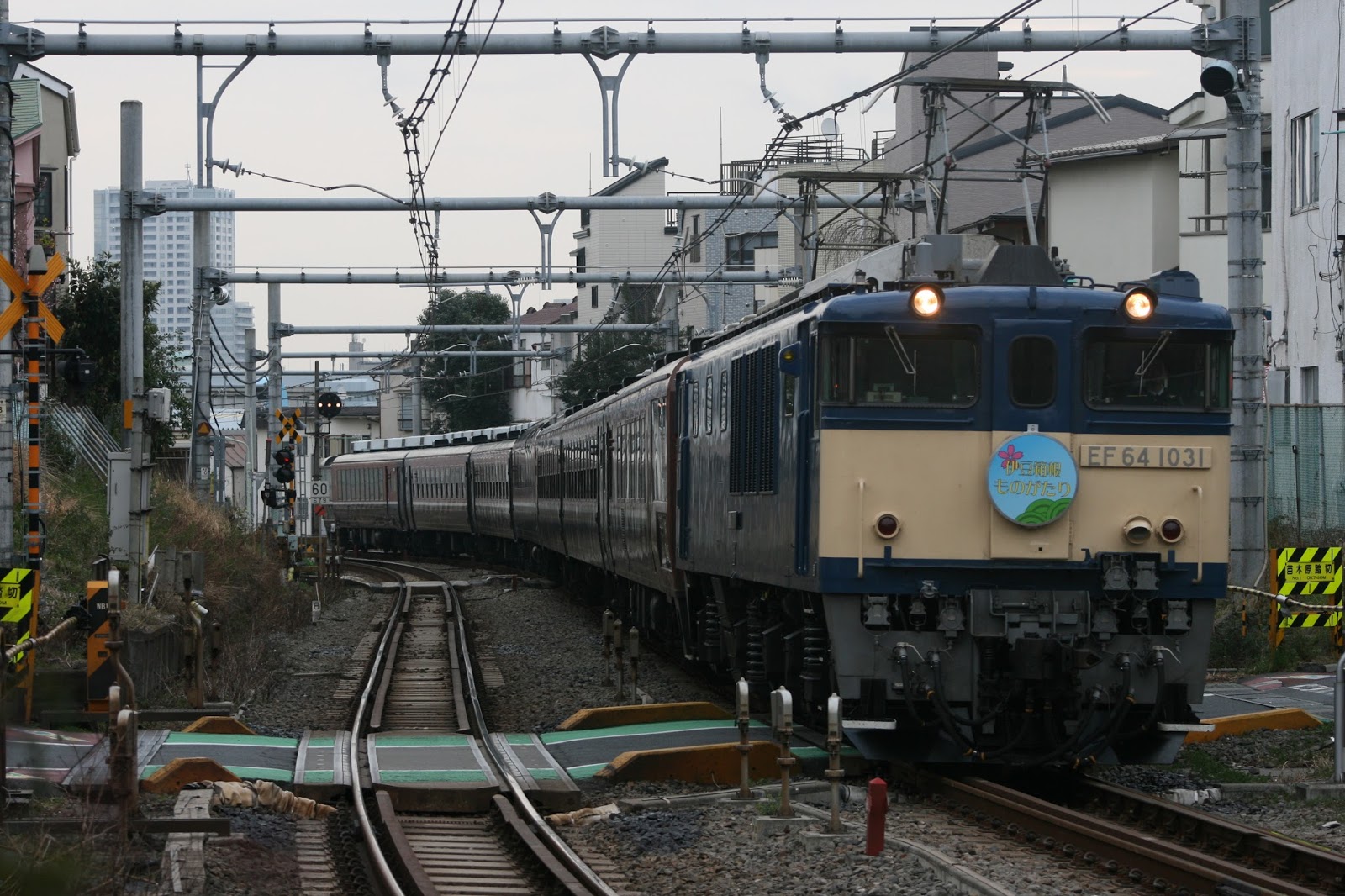 大佐の撮影日記 3月 2016