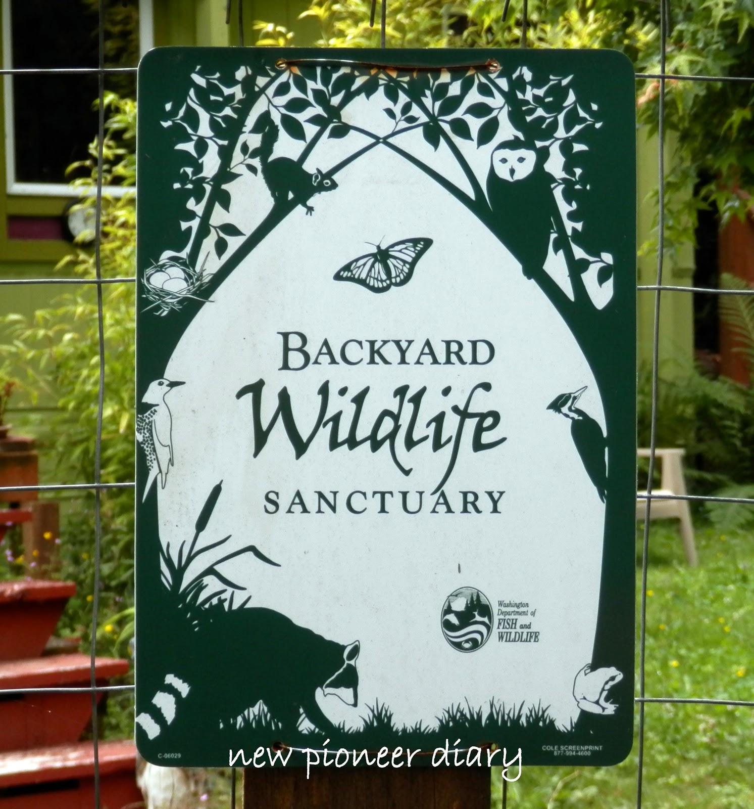 Huckleberry Hollow Backyard Wildlife Sanctuary