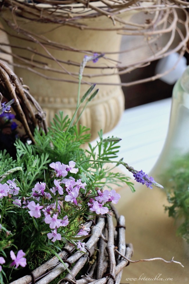 spring potting bench favorite flowers lavender colored lobelia