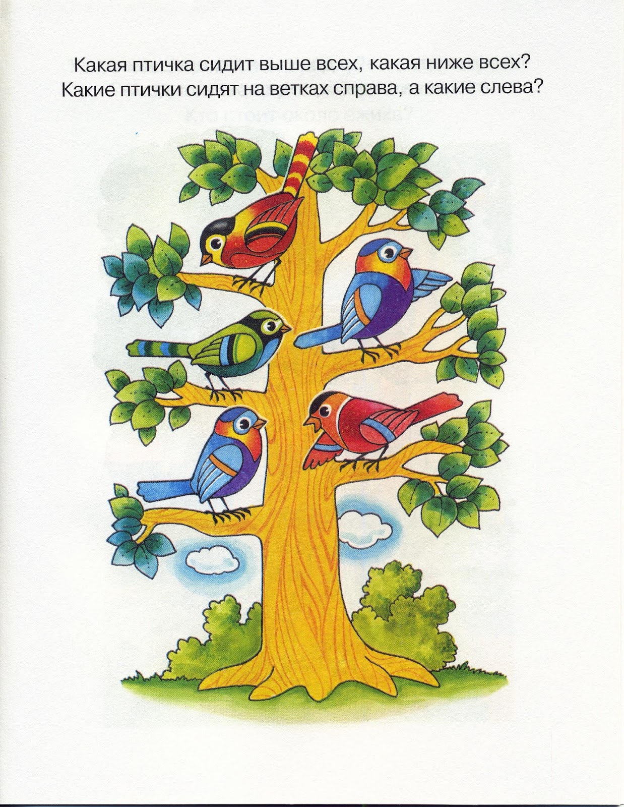 Сколько птиц сидит на дереве. Ориентировкавпостранстве. Ориентировка в пространстве для детей. Ориентация в пространстве для детей. Задания на ориентировку в пространстве.