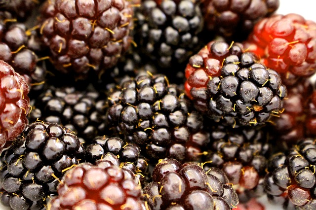 gambar buah boysenberry
