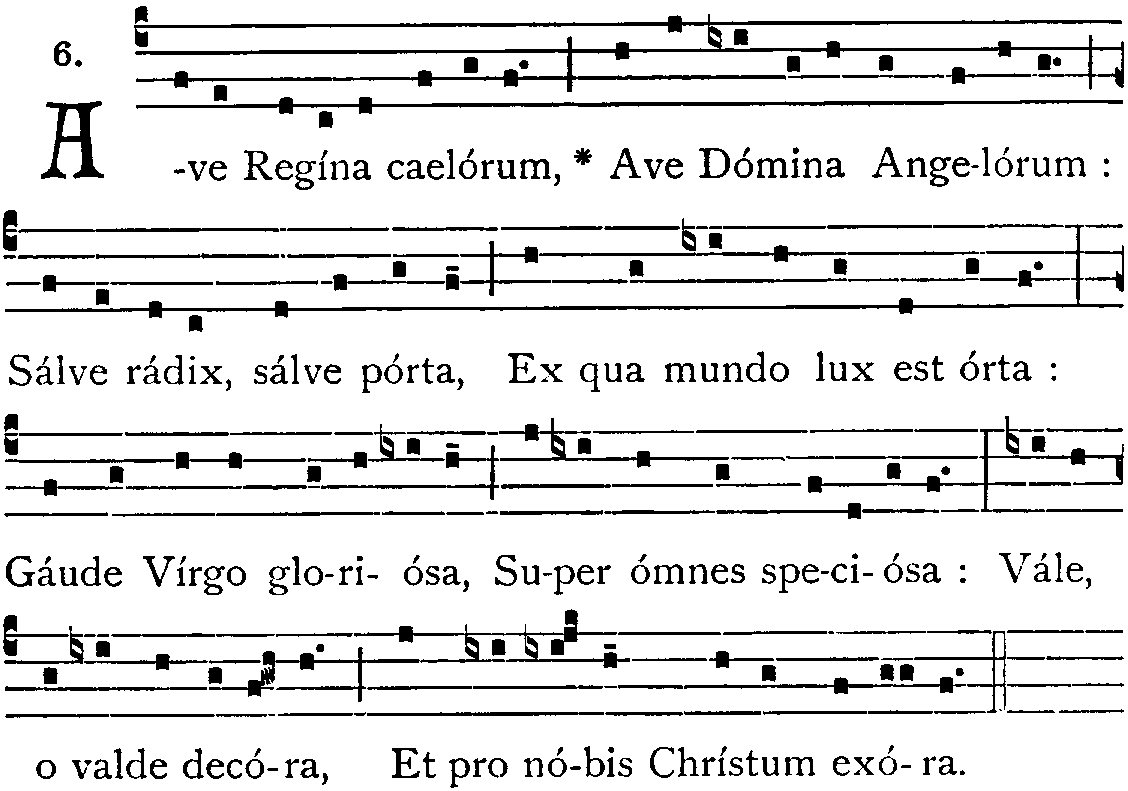 Аве на латыни. Ave Regina Caelorum. Ave Regina Caelorum Chant. Salve Regina Chant. Ave Regina Caelorum Cantus Firmus.