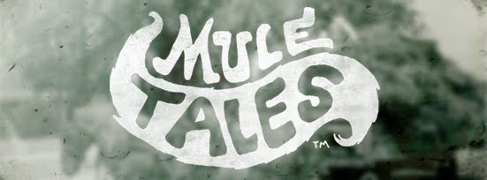  Mule Tales