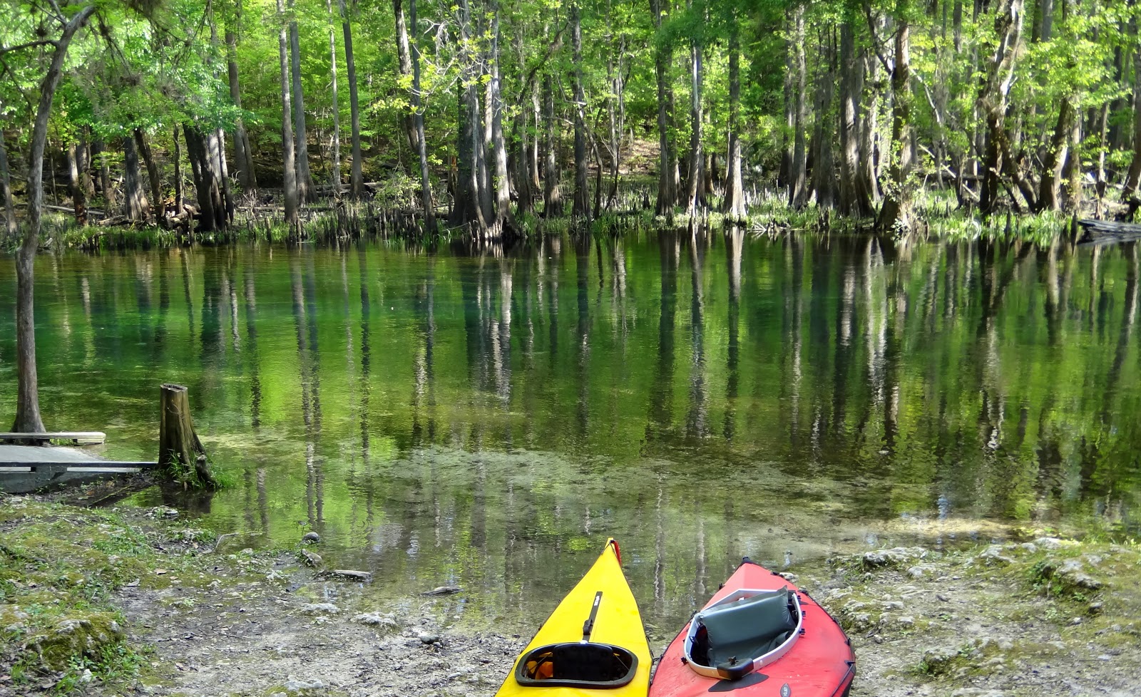 Dancing 'Cross the Country Kayaking the Ichetucknee River