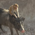 Οι μαϊμούδες που ιππεύουν αγριογούρουνα! (βίντεο)