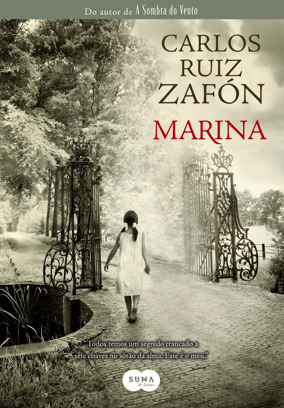 Resenha Marina Carlos Ruiz Zafon Every Little Book