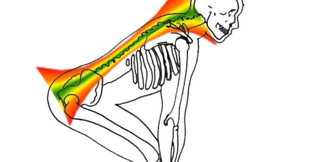 Re: [問題] escape 1換胎和大盤的選擇 另外關於手麻…