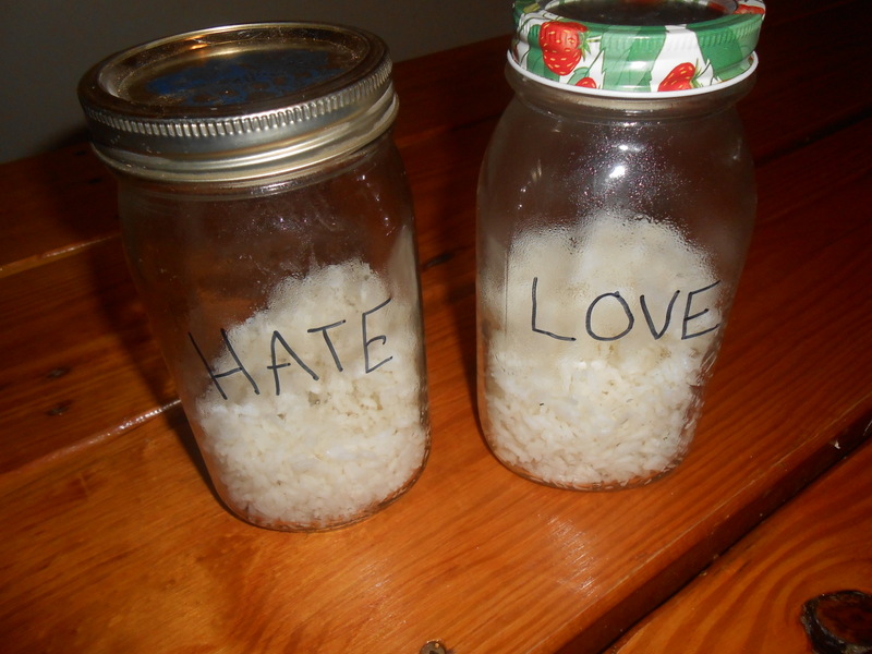 Ralphs Ruckus Love & Hate Experiment