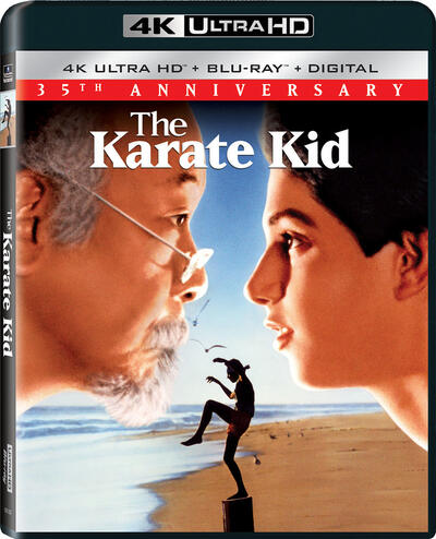 The Karate Kid (1984) 2160p HDR BDRip Dual Latino-Inglés [Subt. Esp] (Drama. Deporte)