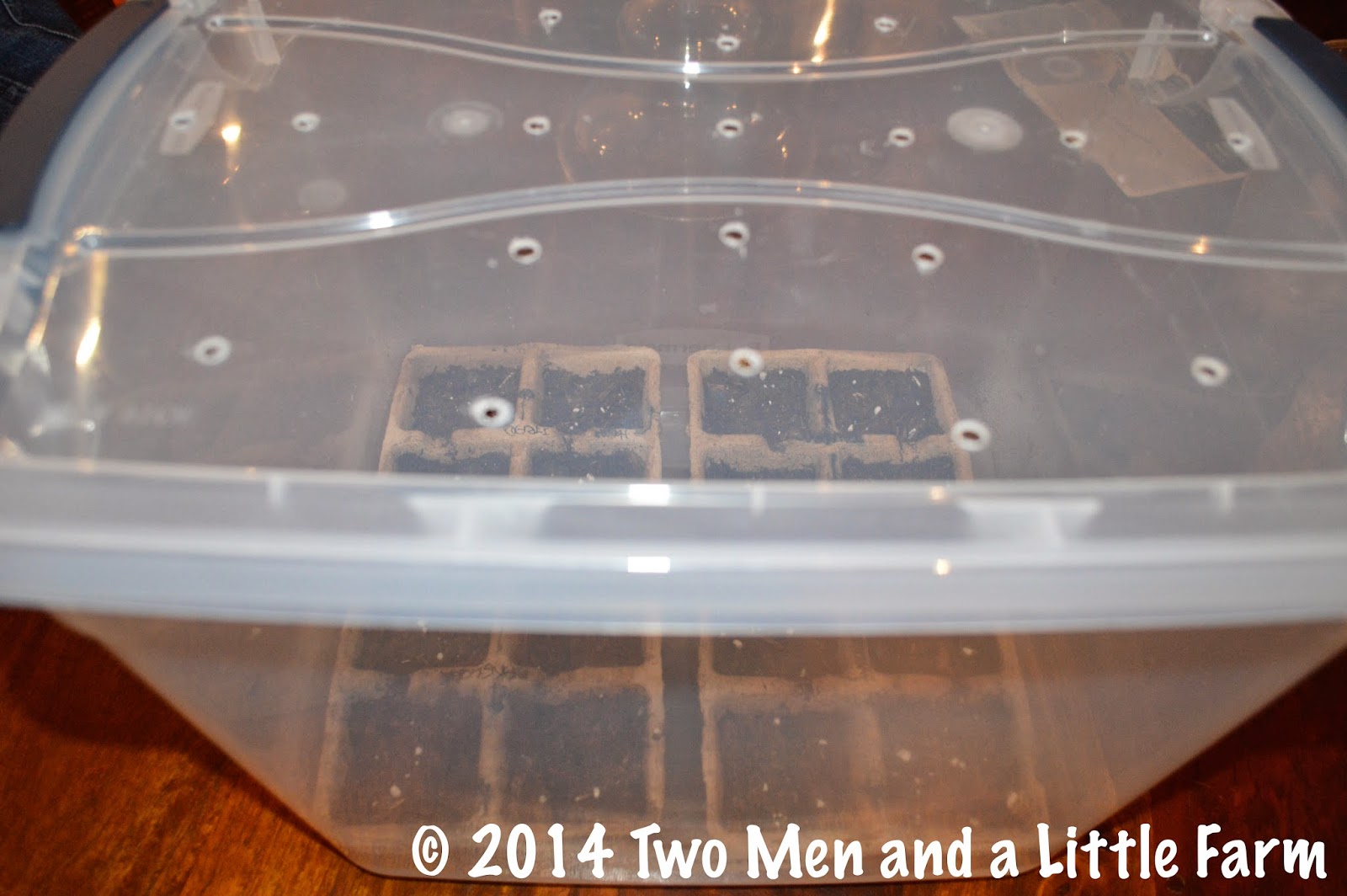 Two Men and a Little Farm DIY SEED STARTING GREENHOUSE BOX