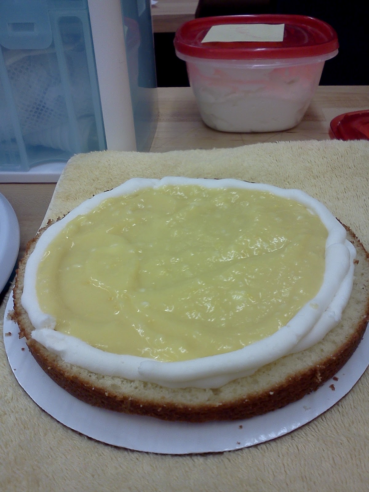 You Want Me to Cook? Cake Decorating Basics Class 2