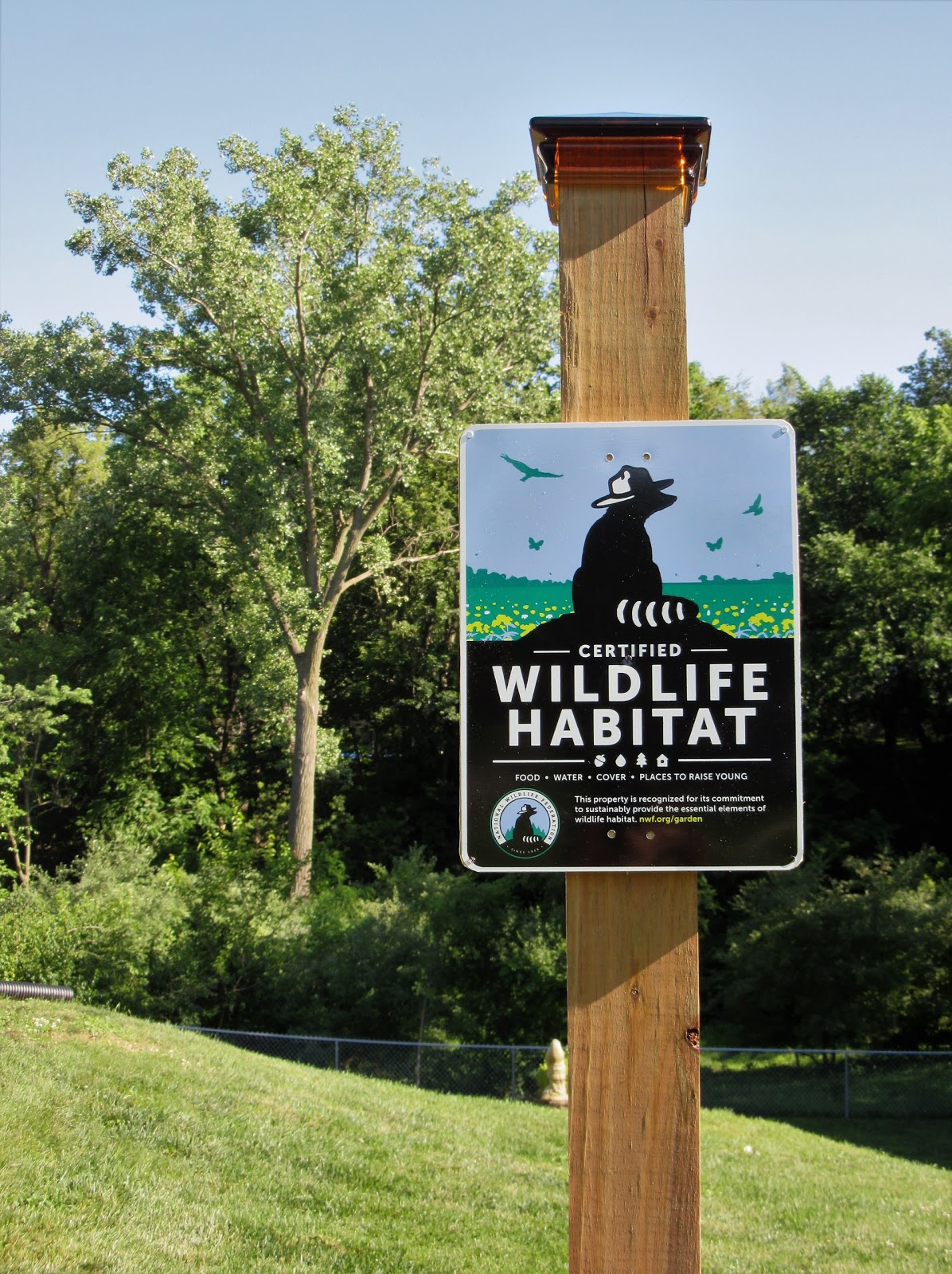 The Hoge Home Place Certified Backyard Wildlife Habitat!