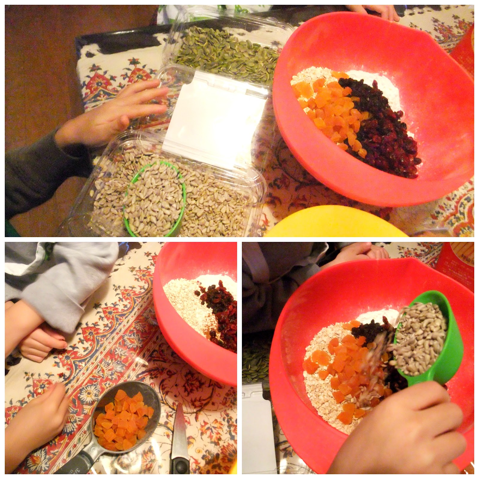 Susan's SavourIt! Jools Oliver's Easy Oaty Fruit Cookies...