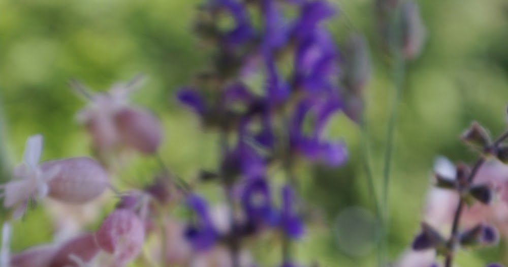 Wolkenfees Küchenwerkstatt: Kräuter-Vinaigrette