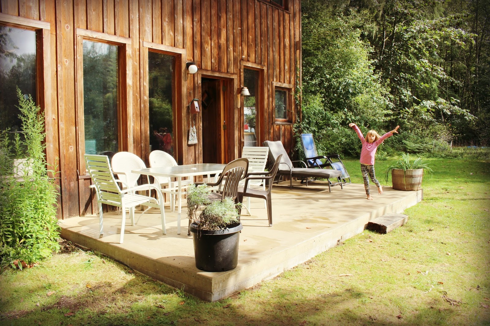 Marblemount Homestead Harvest!