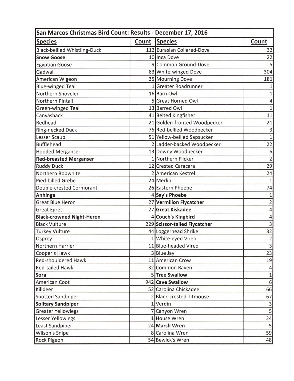 Christmas Bird Count Success San Marcos Greenbelt Alliance